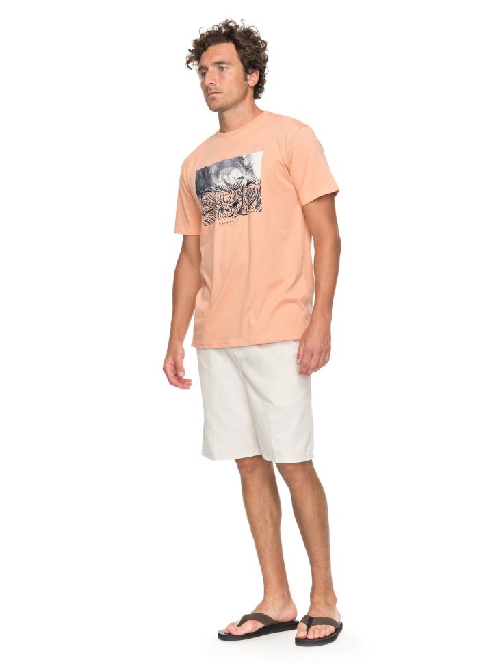 Футболка мужская QUIKSILVER Nokoloko M Dusty Coral фото 2