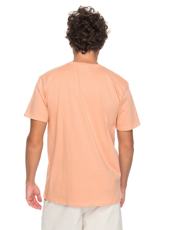 Футболка мужская QUIKSILVER Nokoloko M Dusty Coral фото 3
