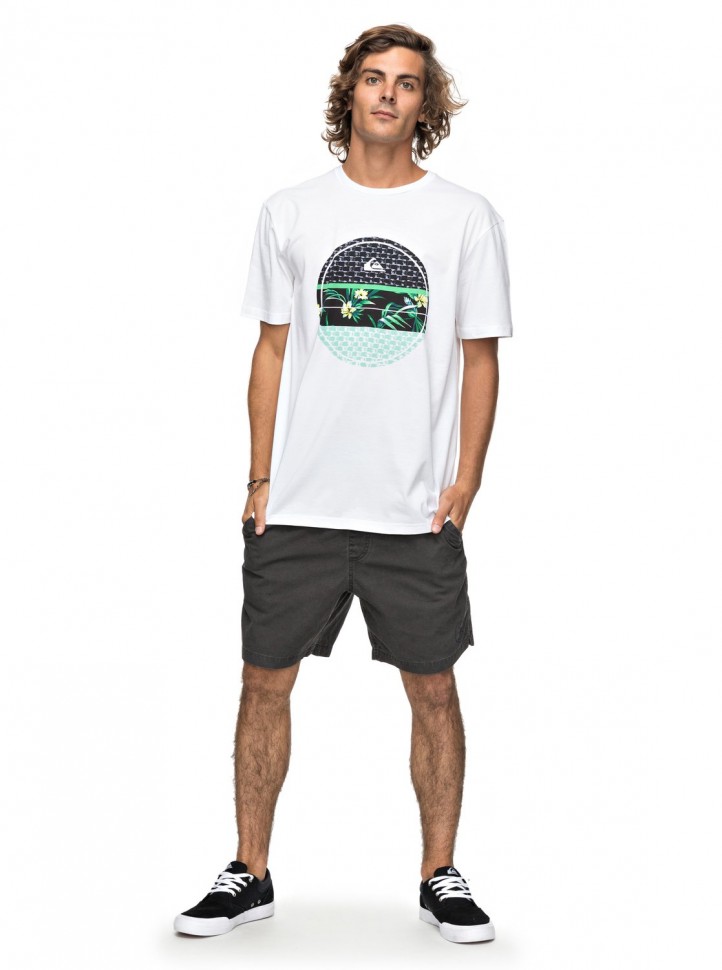 Футболка мужская QUIKSILVER Shddryreefs M White фото 2