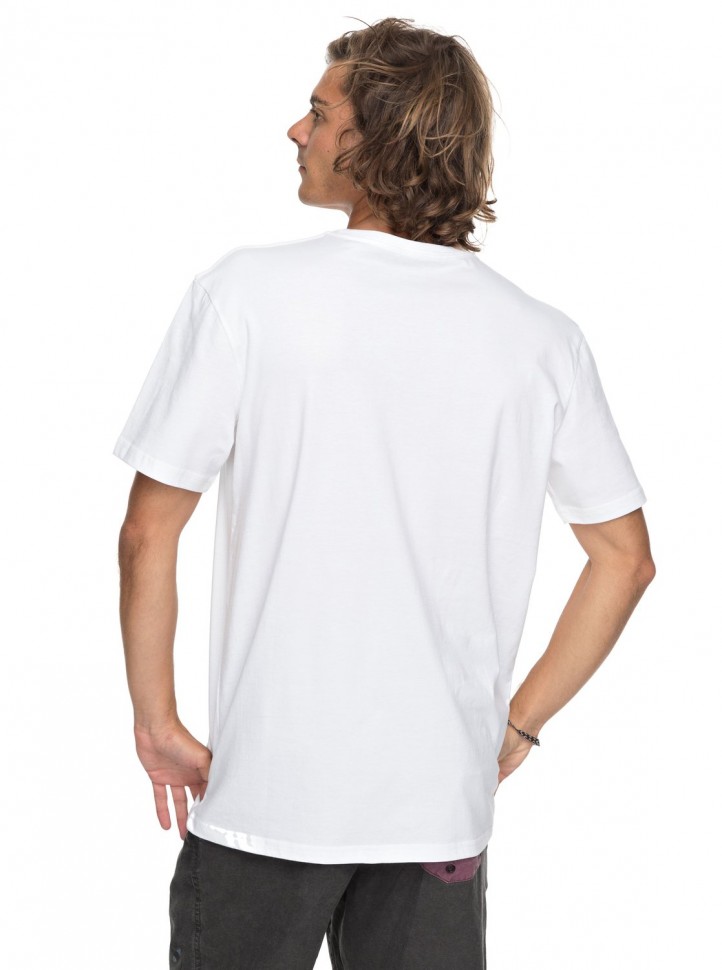 Футболка мужская QUIKSILVER Shddryreefs M White фото 3