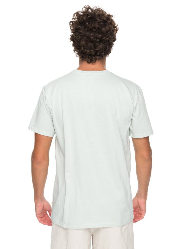 Футболка мужская QUIKSILVER Freediver M Misty Blue фото 3