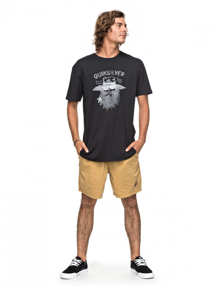 Футболка мужская QUIKSILVER Shdgorm M Black фото 2