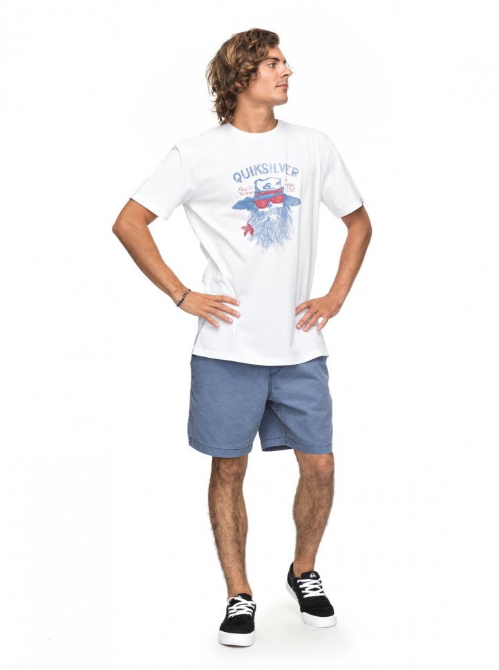 Футболка мужская QUIKSILVER Shdgorm M White фото 2