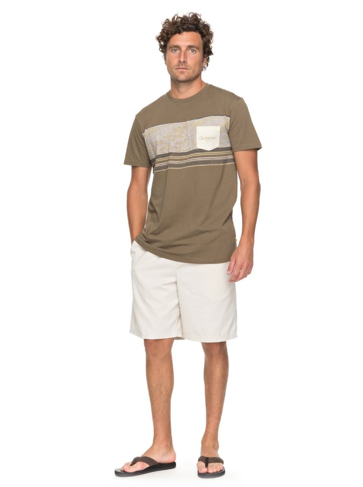 Футболка мужская QUIKSILVER Dreamstringer M Stone Gray фото 2