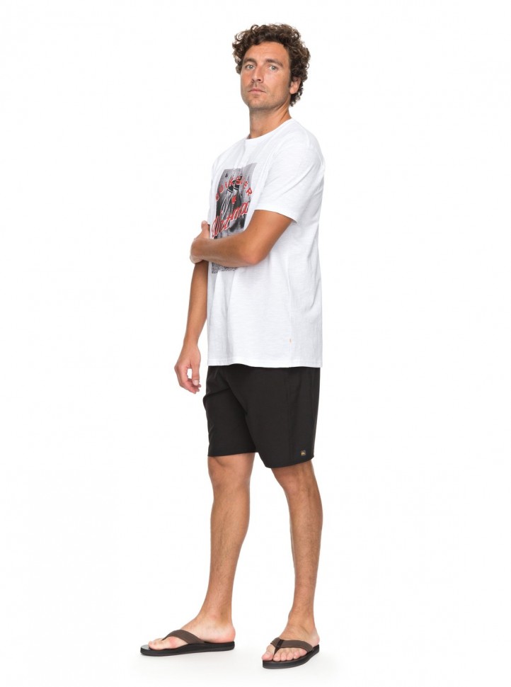 Футболка мужская QUIKSILVER Dawater M White фото 2