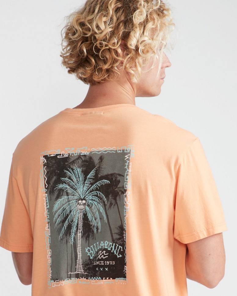 Футболка мужская BILLABONG Get Back Tee Ss Cantaloupe фото 2