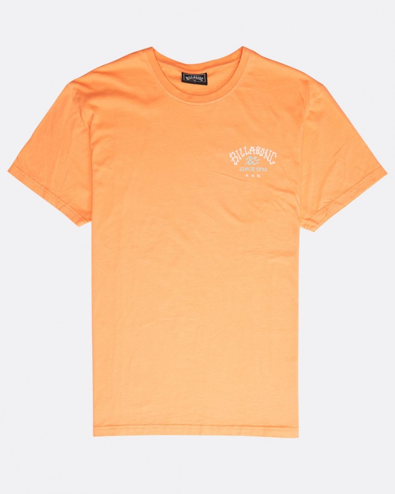 Футболка мужская BILLABONG Get Back Tee Ss Cantaloupe фото 3