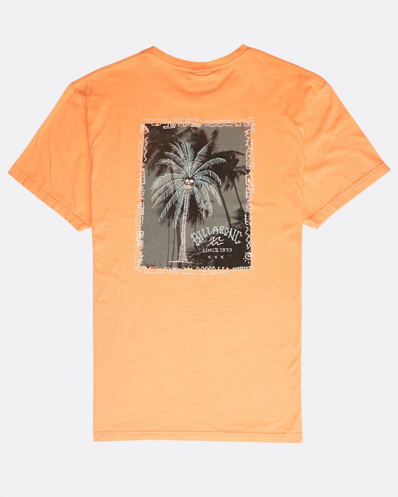 Футболка мужская BILLABONG Get Back Tee Ss Cantaloupe фото 4