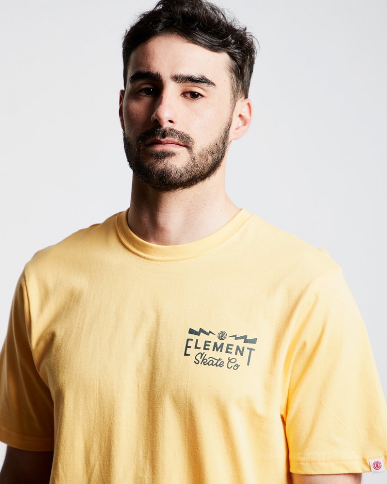 Футболка мужская ELEMENT Zap Ss Tee Ftm Banana фото 3