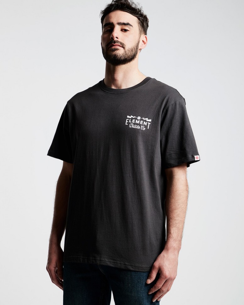 Футболка мужская ELEMENT Zap Ss Tee Ftm Off Black
