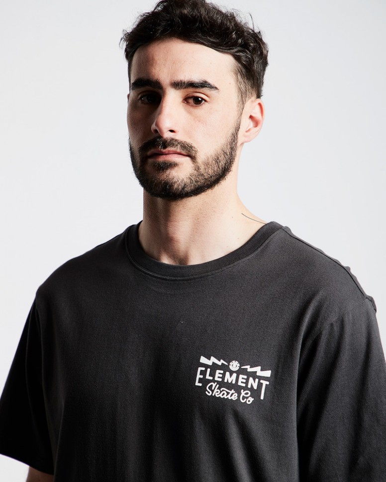 Футболка мужская ELEMENT Zap Ss Tee Ftm Off Black фото 3