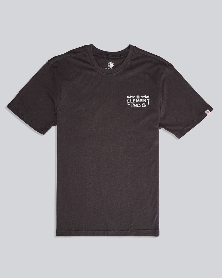 Футболка мужская ELEMENT Zap Ss Tee Ftm Off Black фото 4