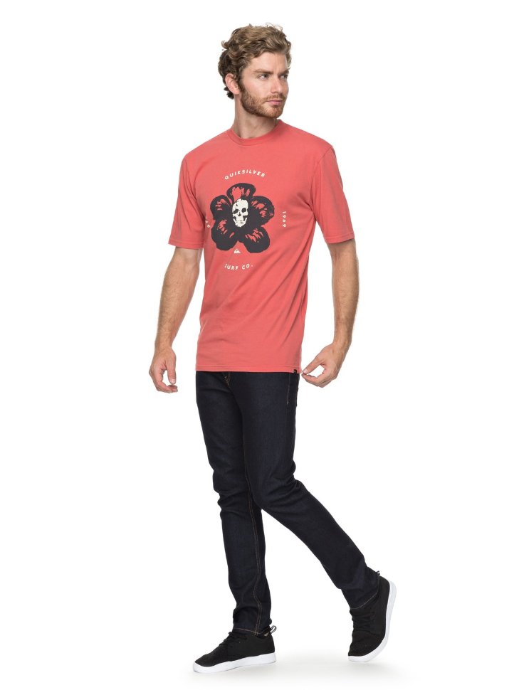 Футболка мужская QUIKSILVER Gmtdyecosmichea M Baked Apple фото 2