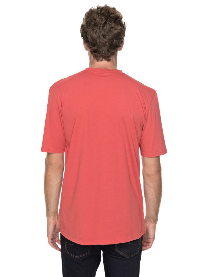 Футболка мужская QUIKSILVER Gmtdyecosmichea M Baked Apple фото 3