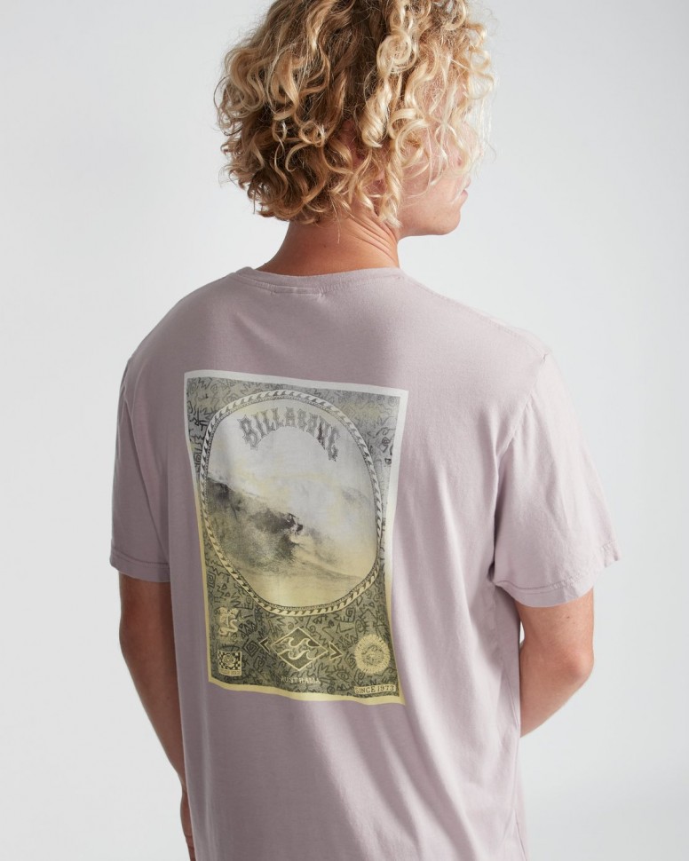 Футболка мужская BILLABONG Get Back Tee Ss Iris фото 2