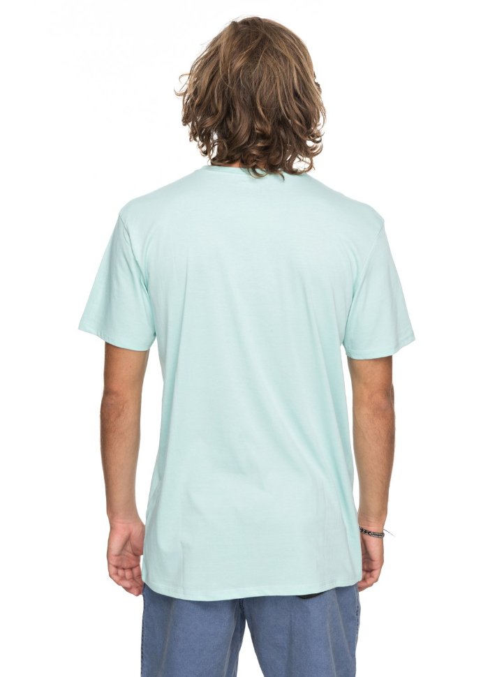 Футболка мужская QUIKSILVER Ssclafinfanatic M Eggshell Blue фото 3