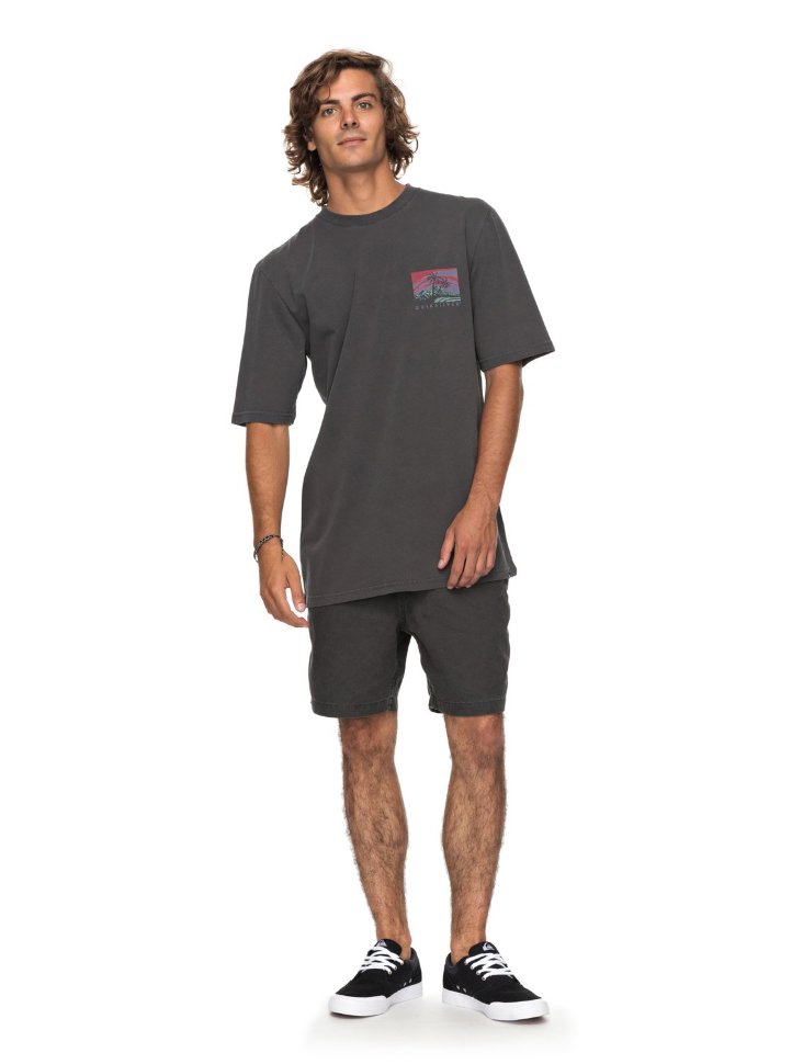 Футболка мужская QUIKSILVER Larhuness M Tarmac фото 2