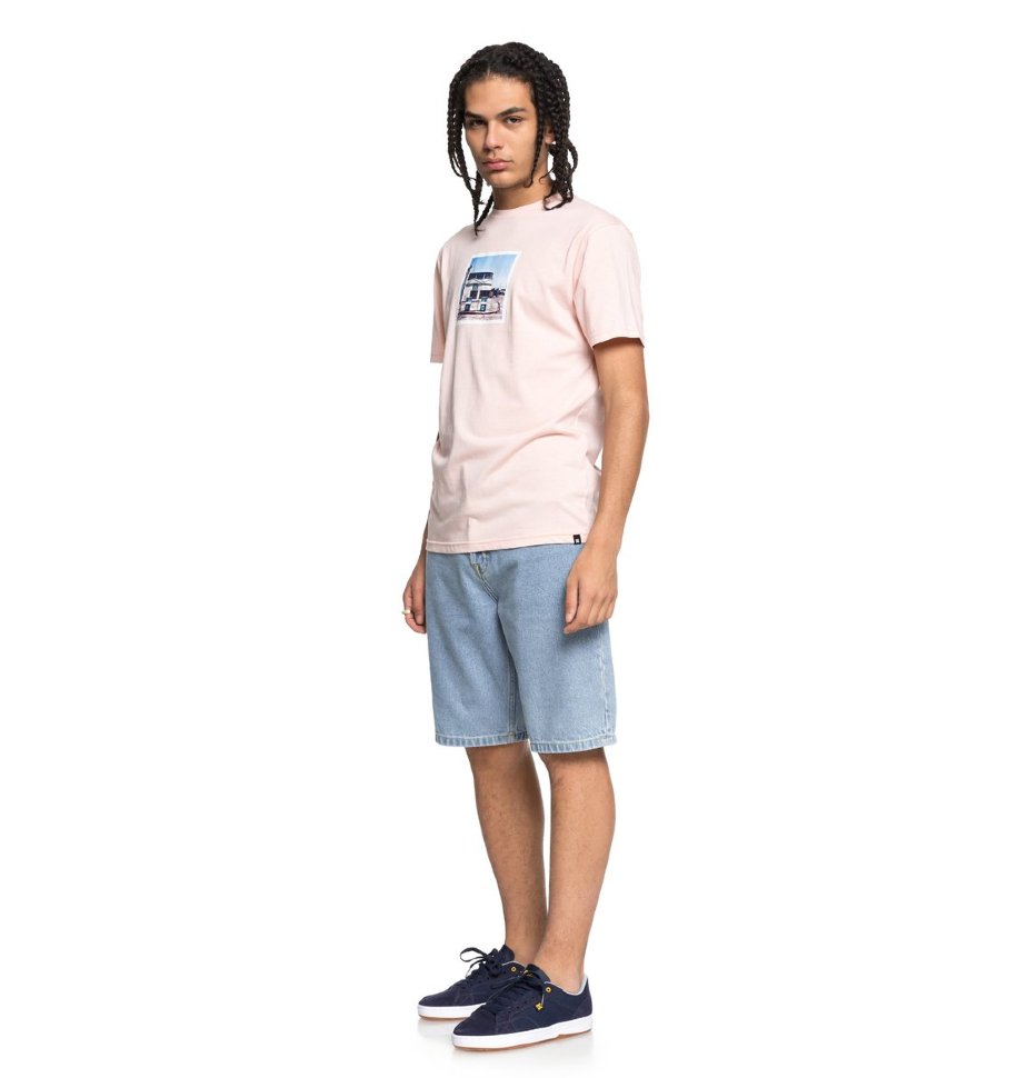 Футболка мужская DC SHOES Viajero Ss M English Rose фото 2