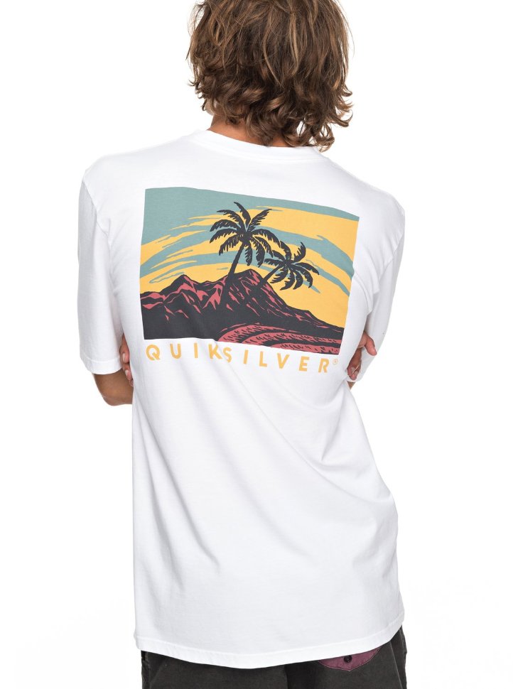 Футболка мужская QUIKSILVER Larhuness M White фото 3
