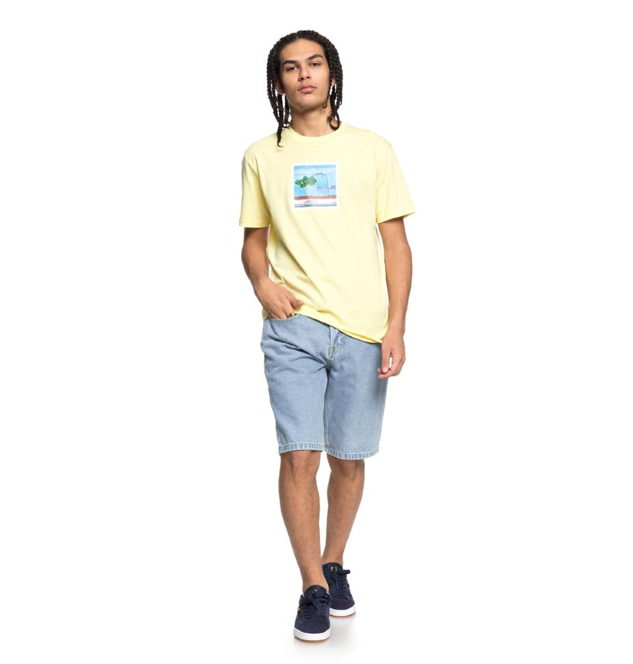 Футболка мужская DC SHOES Viajero Ss M Lemon Meringue фото 2