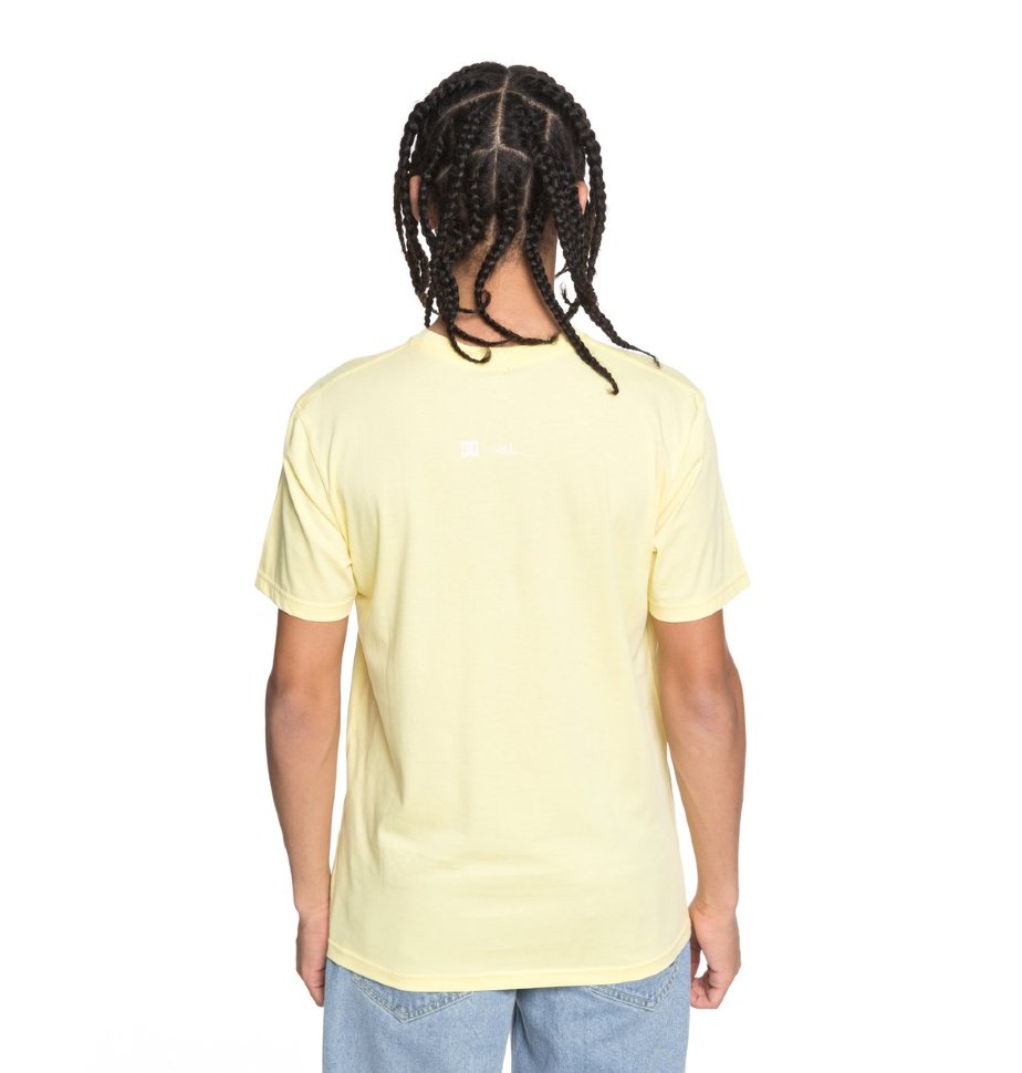 Футболка мужская DC SHOES Viajero Ss M Lemon Meringue фото 3