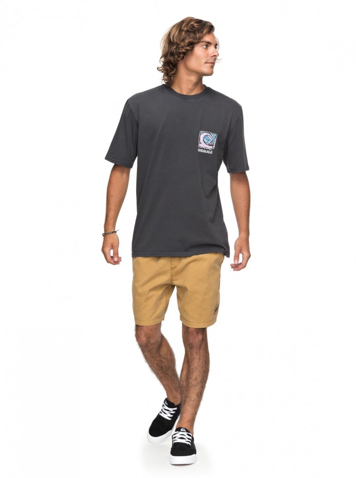 Футболка мужская QUIKSILVER Denswayss M Tarmac фото 2