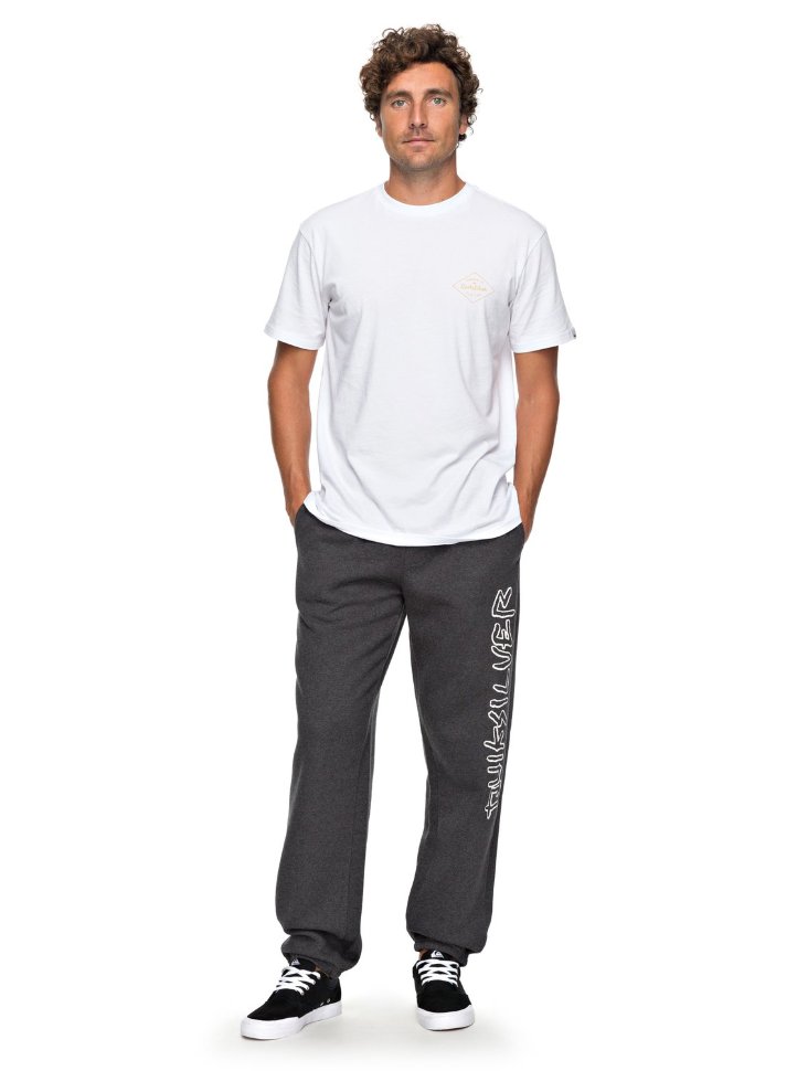 Брюки мужские QUIKSILVER Newtrackptscree M Dark Grey Heather фото 3