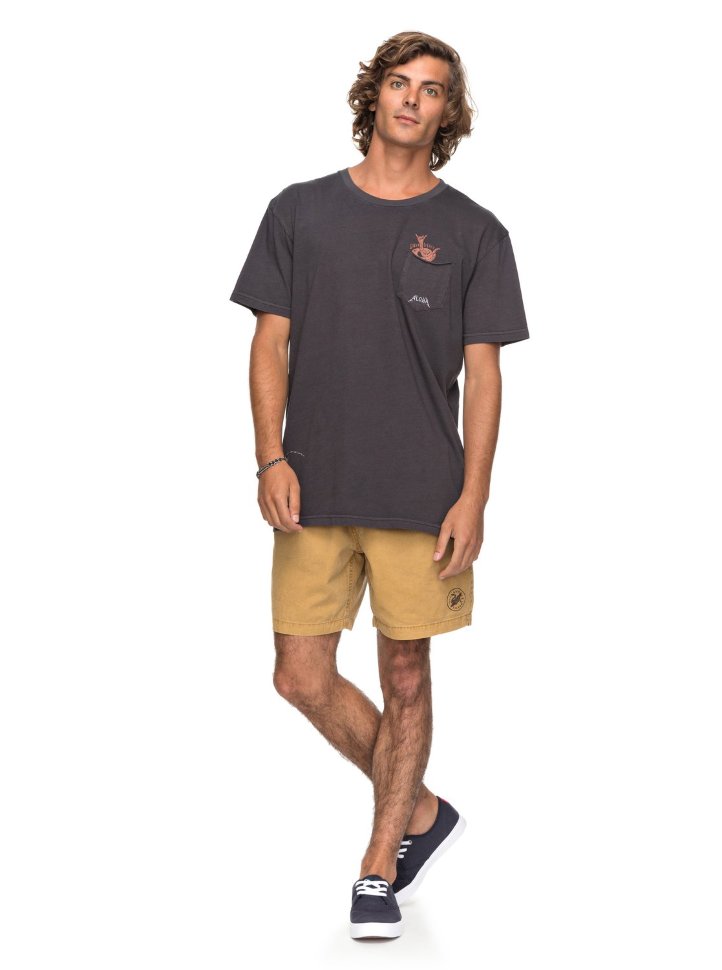 Футболка мужская QUIKSILVER Skumel M Tarmac фото 2