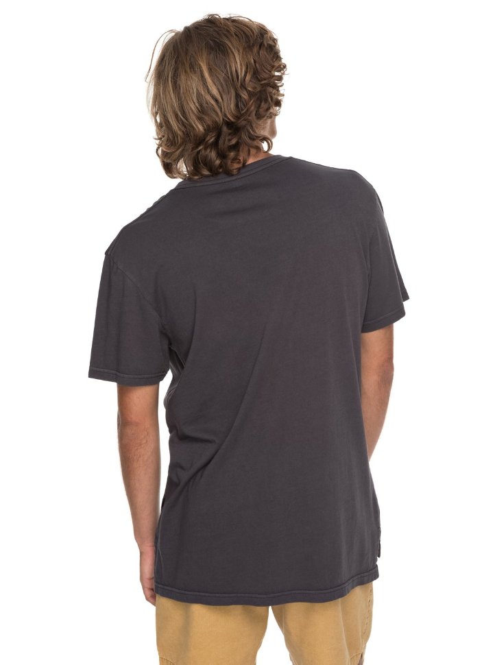 Футболка мужская QUIKSILVER Skumel M Tarmac фото 3