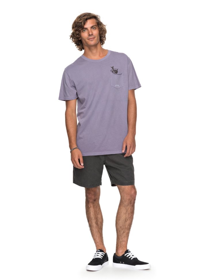 Футболка мужская QUIKSILVER Skumel M Cadet фото 2