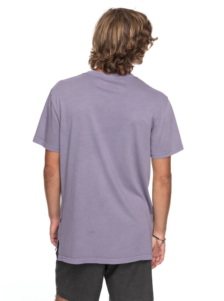 Футболка мужская QUIKSILVER Skumel M Cadet фото 3