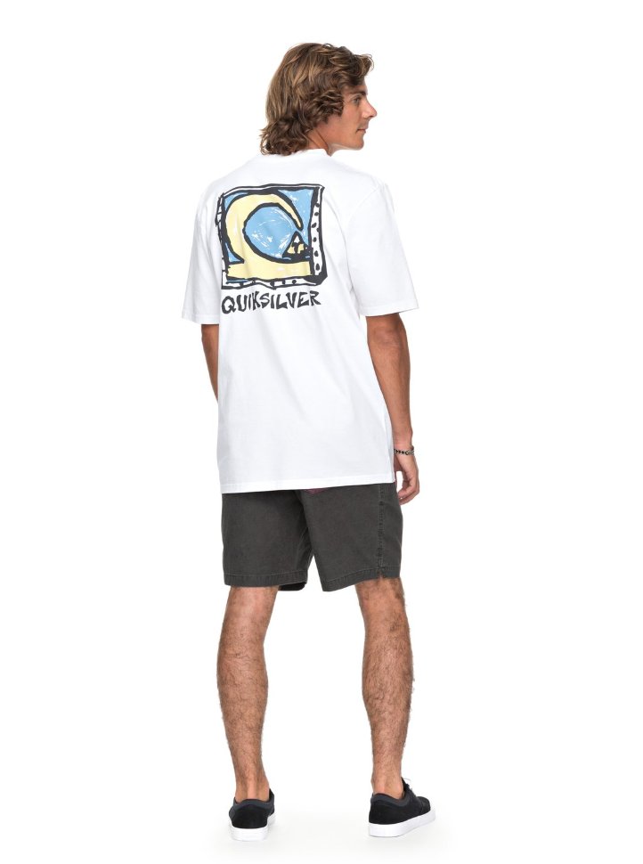 Футболка мужская QUIKSILVER Denswayss M White фото 2