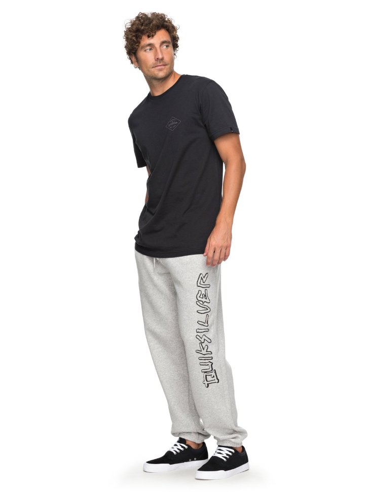 Брюки мужские QUIKSILVER Newtrackptscree M Light Grey Heather фото 3