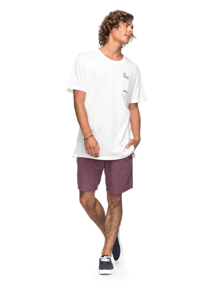 Футболка мужская QUIKSILVER Skumel M Snow White фото 2