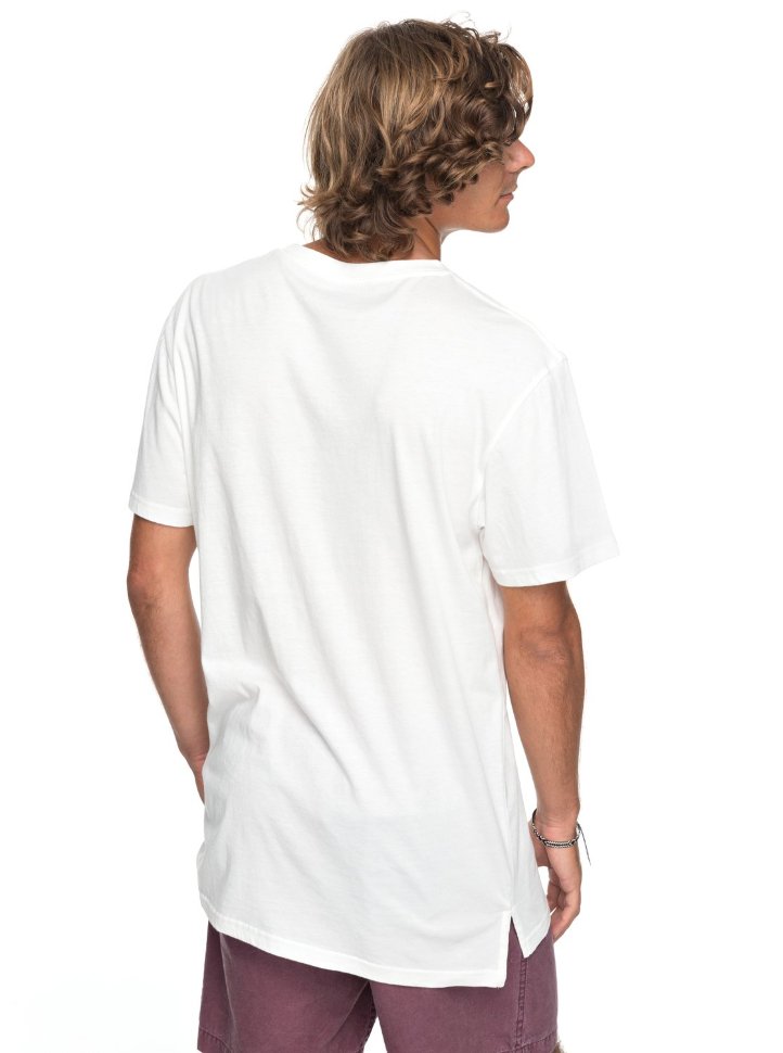 Футболка мужская QUIKSILVER Skumel M Snow White фото 3
