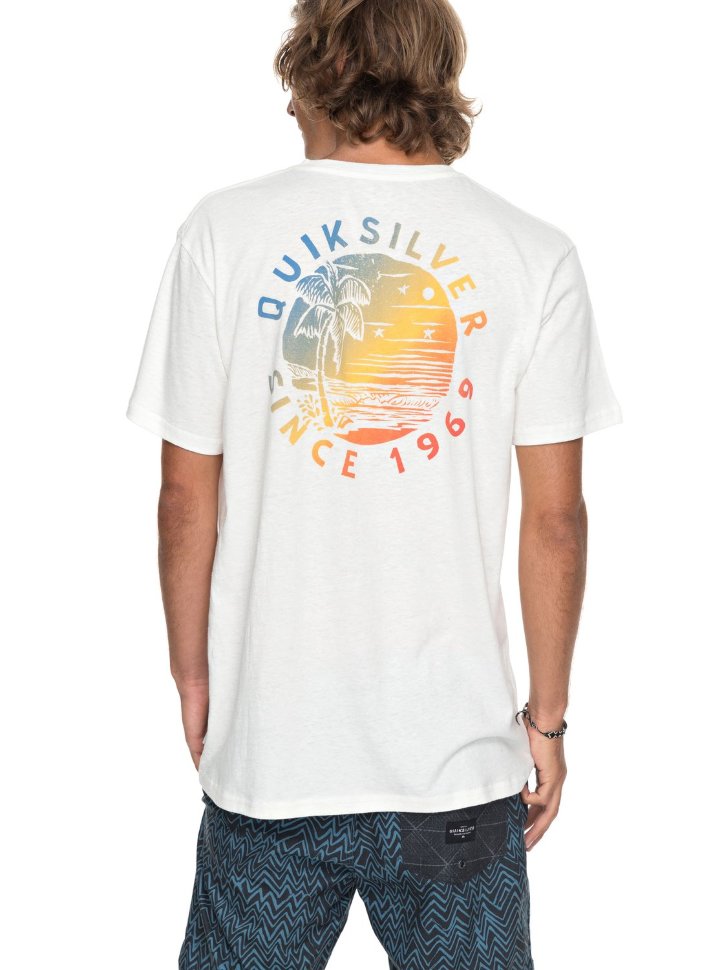 Футболка мужская QUIKSILVER Rockyrights M Snow White фото 3