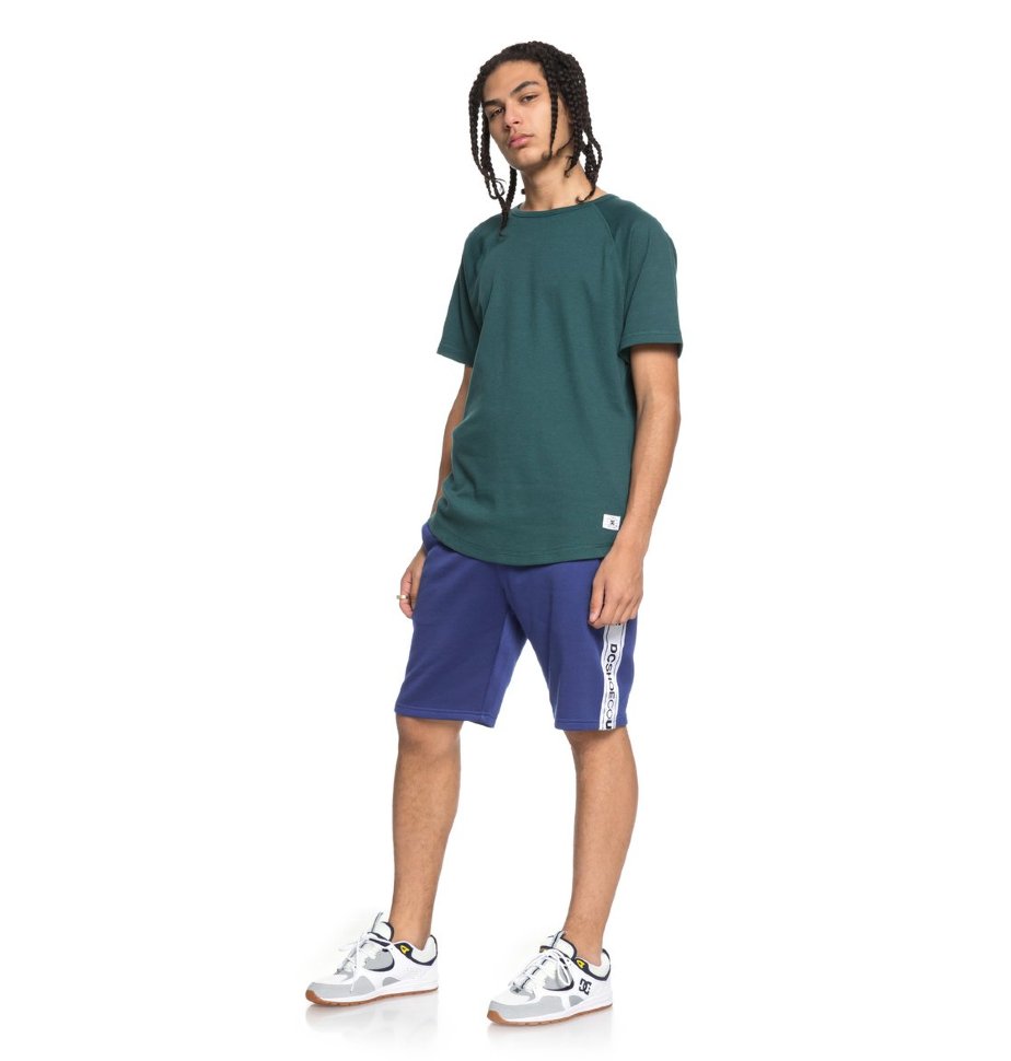 Футболка мужская DC SHOES Renfrew Ss M June Bug фото 2