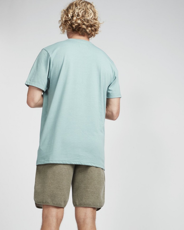 Футболка мужская BILLABONG All Day Crew Dust Green фото 2