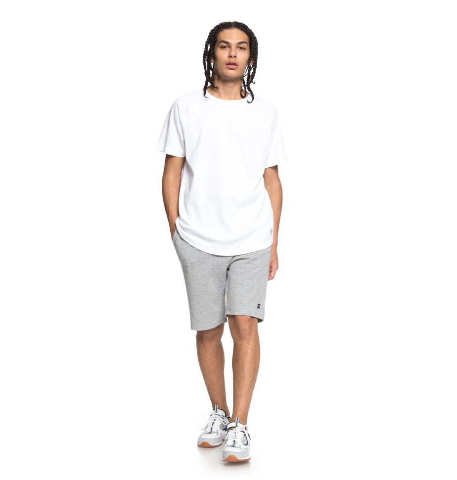 Футболка мужская DC SHOES Renfrew Ss M Snow White фото 2