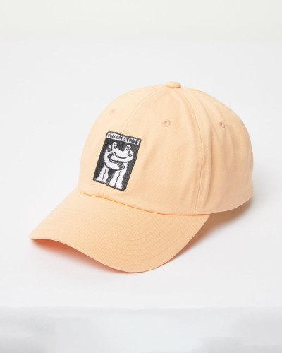 Кепка VOLCOM Stone Bloom SS25 Pale Peach, фото 1