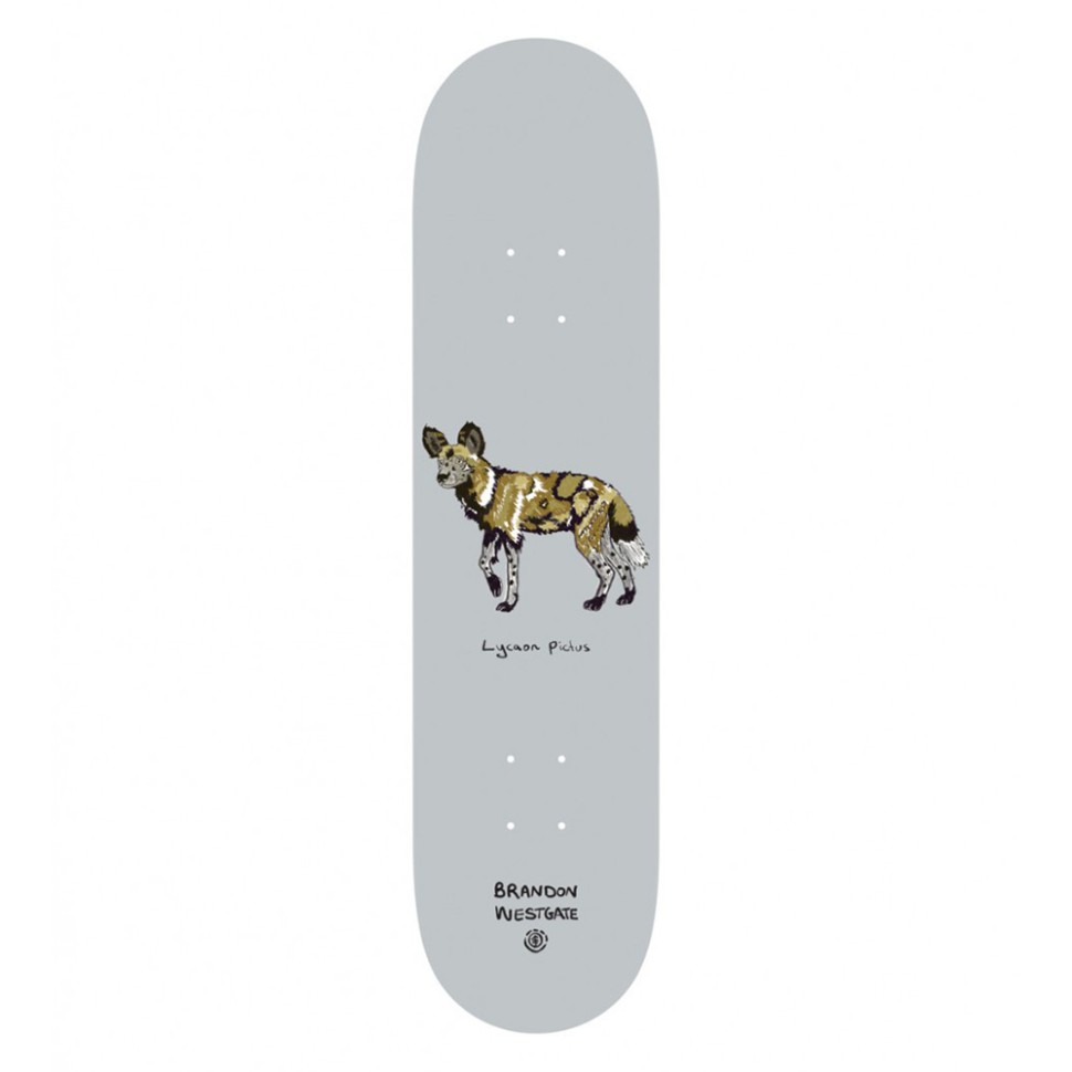 Дека для скейтборда ELEMENT Endangered Brandon Westgate Assorted