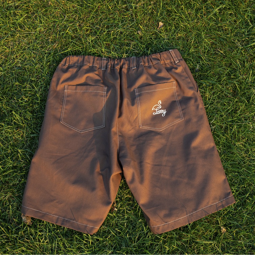 Шорты LARRY PANTS Larry Shorts Brown 2022 фото 3