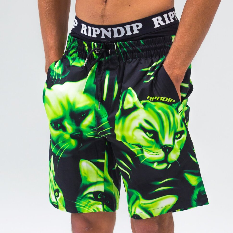 Шорты RIPNDIP Neon Nerm Swim Shorts Black 2021