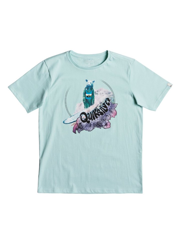 

Футболка для мальчиков-подростков QUIKSILVER Sslogbearyouth B Eggshell Blue, Голубой