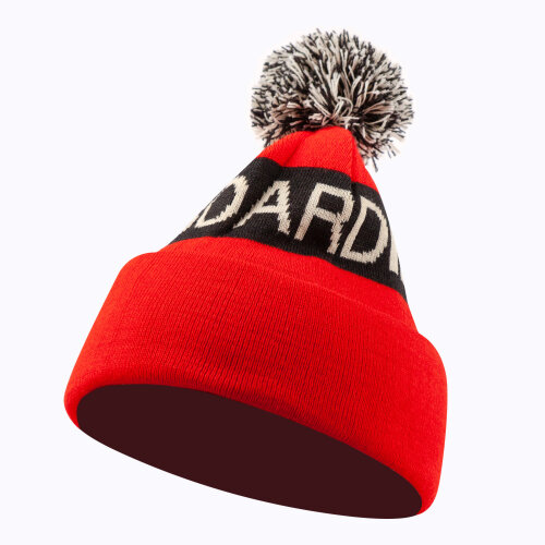 dc shoes beanie