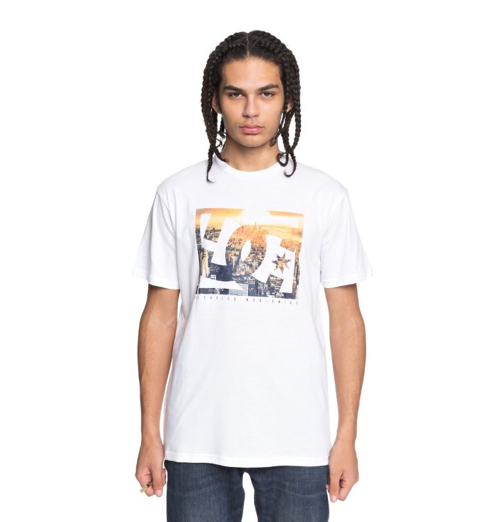 Футболка мужская DC SHOES Empire Henge Ss M Snow White, фото 1