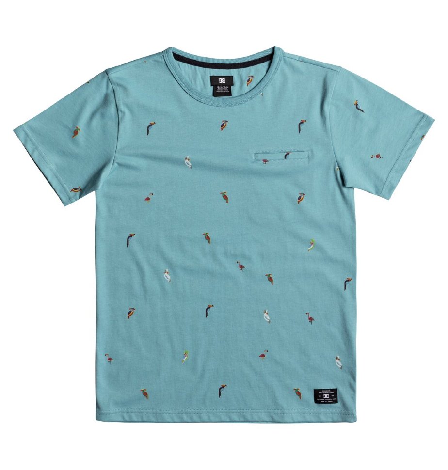 

Футболка для мальчиков-подростков DC SHOES 2Can Ss Boy B Maui Blue Toucan, Синий