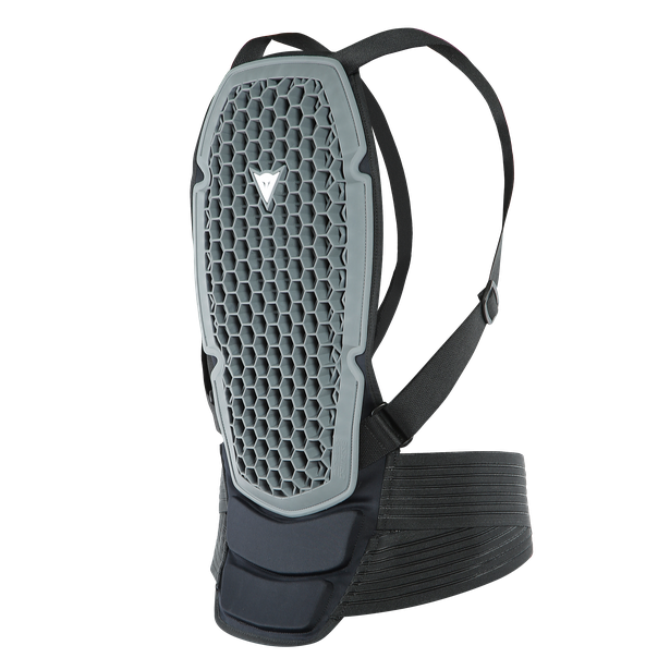 Защита спины для сноуборда DAINESE Pro Armor Back Protector G1 Black 2020, фото 2