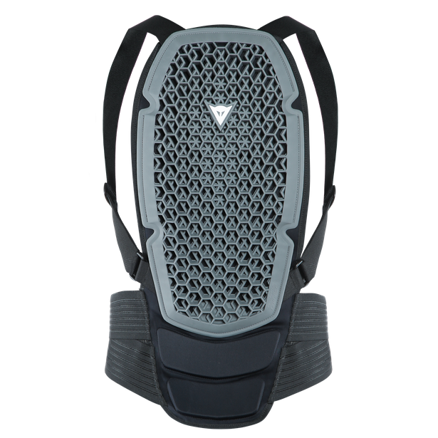 Защита спины для сноуборда DAINESE Pro Armor Back Protector G1 Black 2020, фото 1