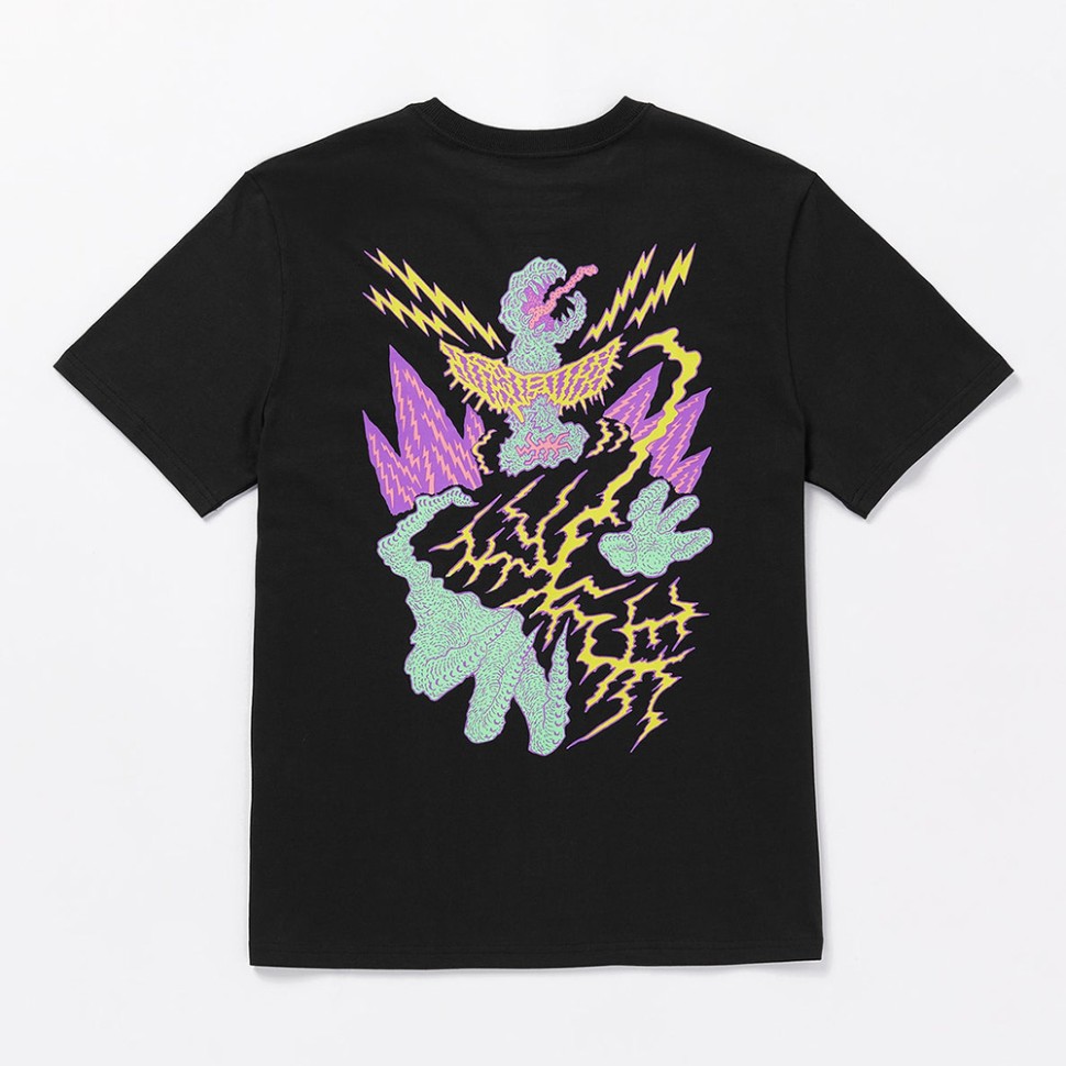 Футболка VOLCOM Fa Tetsunori 2 Sst Black фото 2